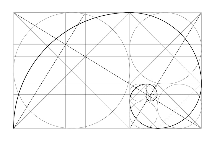 Vetor modelo de relação de ouro vetor espiral dourada proporção de ouro fibonacci array fibonacci número divi ...