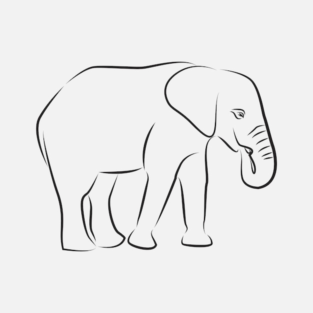 Modelo de vetor de arte de linha de elefante