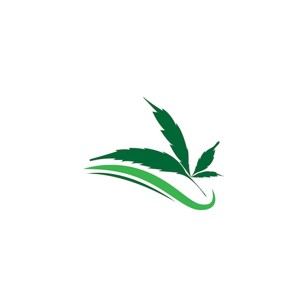 Modelo de vetor de design de logotipo de folha de cannabis