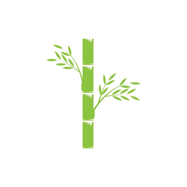 Vetor modelo de vetor de ilustração de logotipo de folha verde de bambu