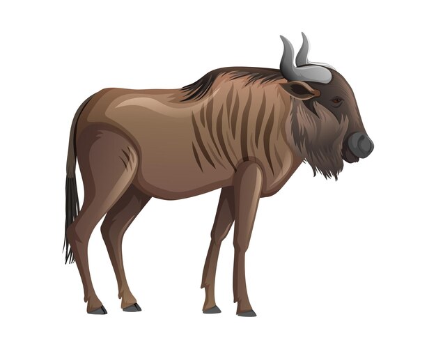 Modelo Ilustração vetorial de búfalos africanos de desenho animado