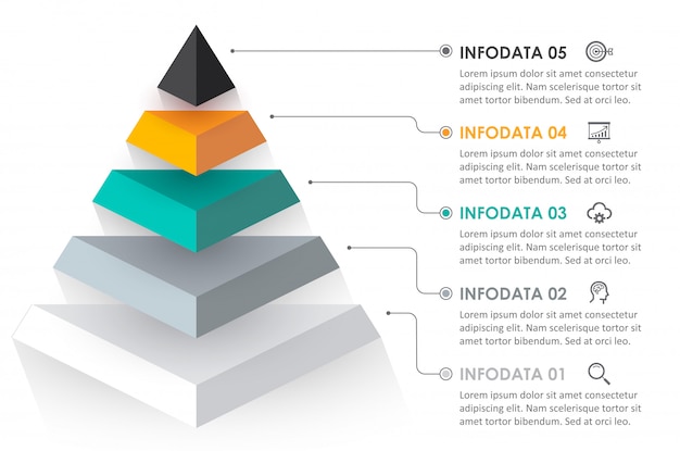 Vetor modelo infográfico