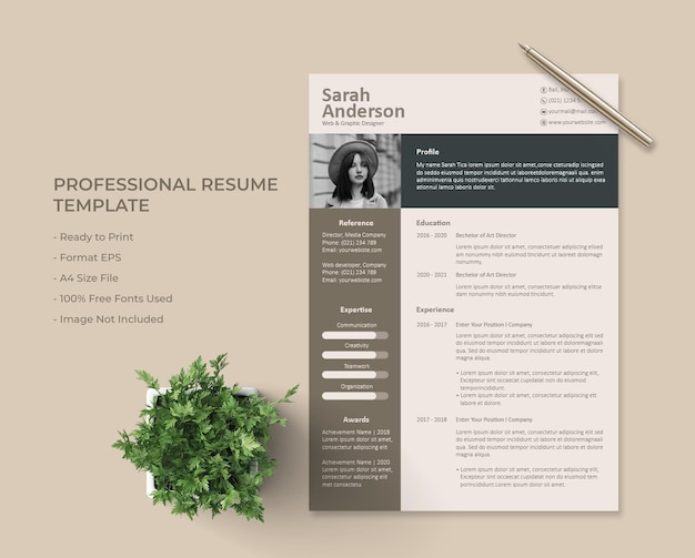 Modelo minimalista cv