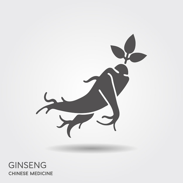 Vetor modelo vetorial de design de logotipo de ginseng raiz de ginseng com sombra