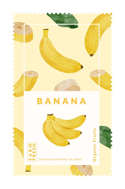 Modelos de design de embalagens de frutas de banana ilustração vetorial em estilo aquarela
