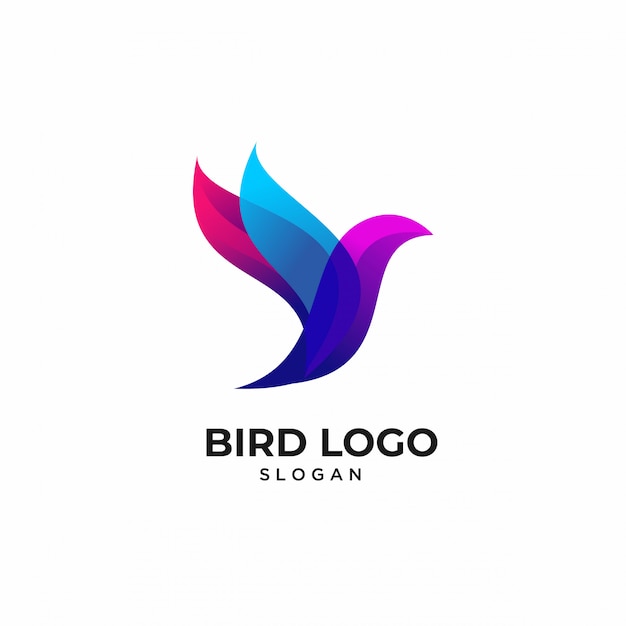 Modelos de logotipo animal pássaro colorido