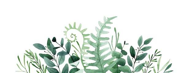 moldura de borda de desenho em aquarela de folhas de floresta e composição de ervas buquê de folhas verdes
