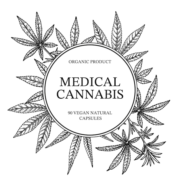 Vetor moldura de cannabis medicinal design de planta de maconha para embalagem de modelo de logotipo