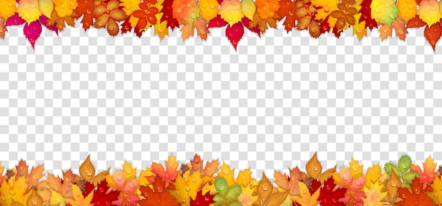 Vetor moldura de outono com folhas coloridas em ilustração vetorial de fundo transparente