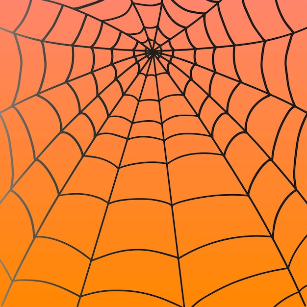 Vetor molduras web de halloween e fronteiras elementos assustadores para decoração mão desenhada aranha web vetor ilustração