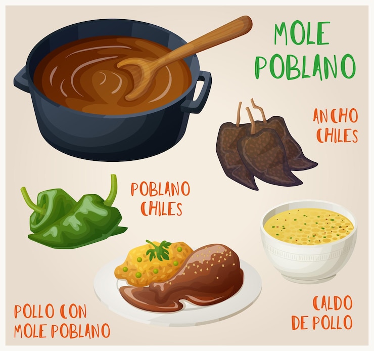 Vetor mole poblano com ingredientes ícones vetoriais conjunto coleção de pollo con mole poblano comida mexicana