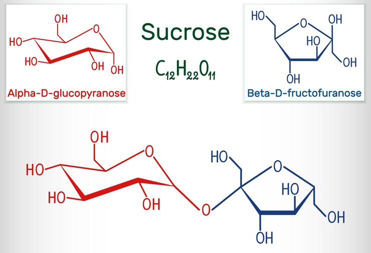 Vetor molécula de açúcar de sacarose fórmula química estrutural e modelo de molécula folha de papel numa gaiola