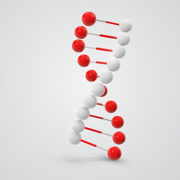 Molécula de DNA colorido isolada no branco