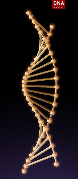 Molécula de estrutura de DNA de ouro