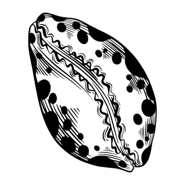 Molusco de concha marinha ou bivalve com pontos para design de tecido de convite têxtil etc