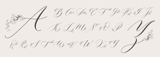 Monograma de ornamento floral fonte manuscrita com flores e galhos de folhas decoração vintage caligrafia letras maiúsculas conjunto de vetores