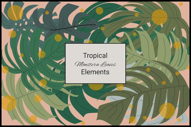Monstera deixa elemento de design exótico tropical fundo de textura abstrata