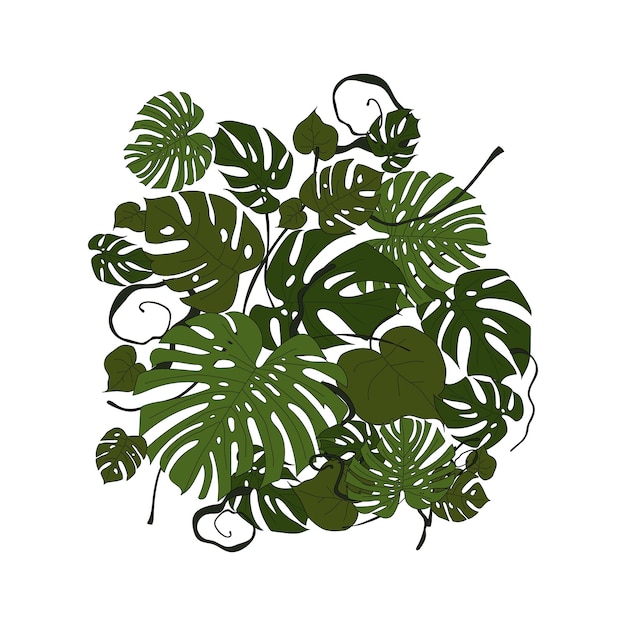 Monstera deixa ilustração vetorial de pôster