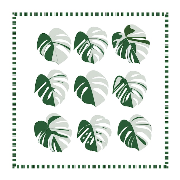 Vetor monstera (em inglês)