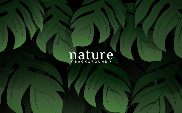 Monstera folhas de palmeira natureza fundo