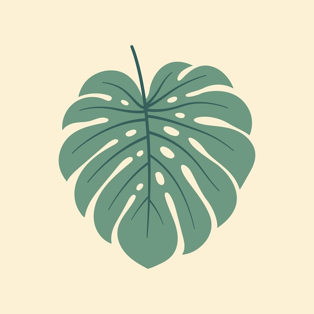 Vetor monstera ilustração vetorial plana em folhas tropicais de fundo isoladas ilustração vetorial plana