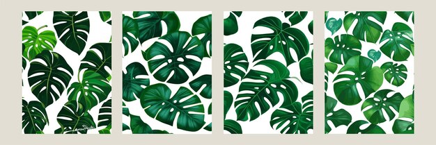 Monstera verde como um padrão em um padrão exótico de fundo branco com folhas tropicais Conjunto de ilustração vetorial