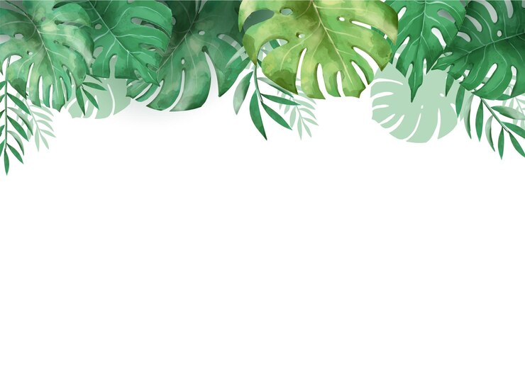 Vetor monstera verde deixa a borda em aquarela