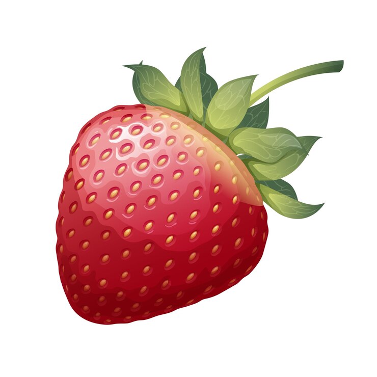 Vetor morango maduro isolado no fundo branco ícone de ilustração vetorial berry