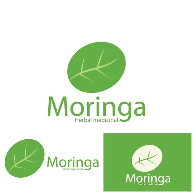 Moringa deixa o design do modelo de ilustração vetorial ícone