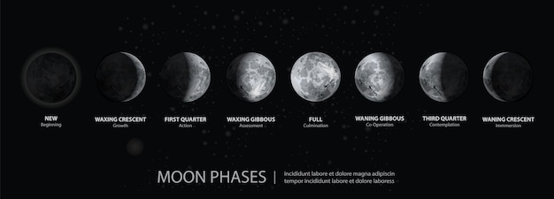 Vetor movimentos das fases da lua realistas