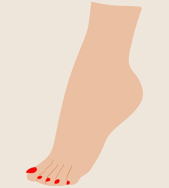 Vetor mulher pé pedicure ilustração vermelho esmalte