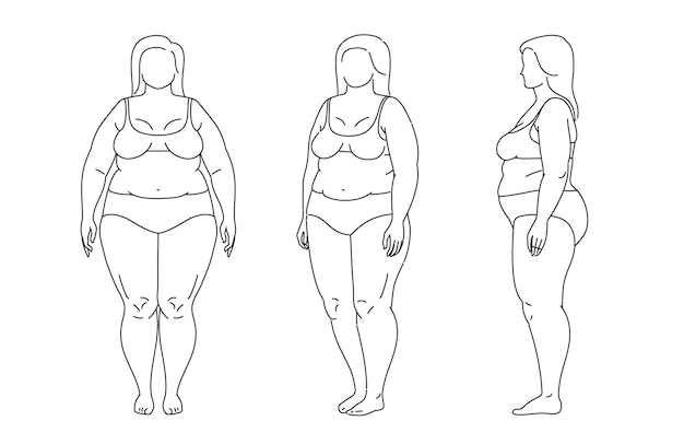 Vetor mulher plussize conjunto de vetores de corpo grande e gordinho mulher positiva com figuras gordas e curvilíneas fêmea atraente em pé no esboço de linha vetorial de lingerie ilustração