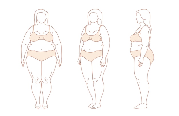 Vetor mulher plussize conjunto de vetores de corpo grande e gordinho mulher positiva com figuras gordas e curvilíneas fêmea atraente em pé no esboço de linha vetorial de lingerie ilustração