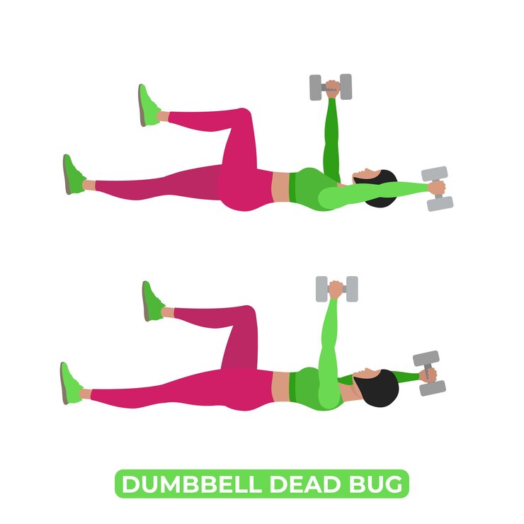 Vetor mulher vetor fazendo dumbbell dead bug bodyweight fitness abs core workout exercício