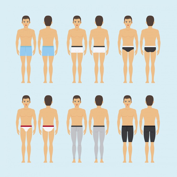 Vetor mulheres shapewear ou ilustração em vetor roupa interior feminina corretiva