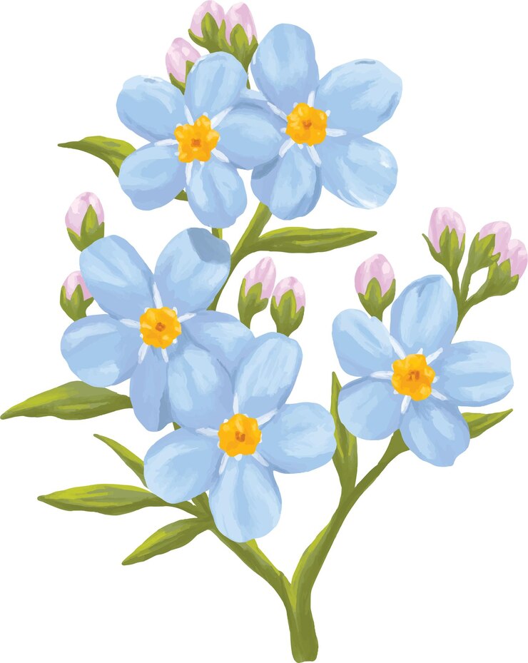 Vetor não me esqueça flor pintura digital ilustração