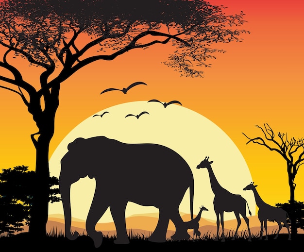 natureza animal selvagem