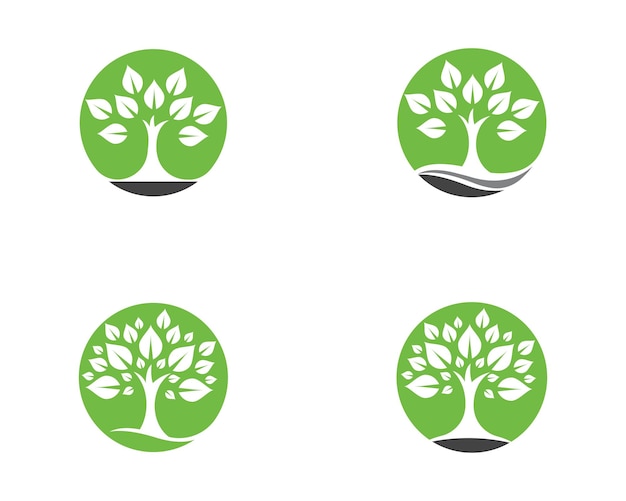 Natureza de ecologia de folha logo template