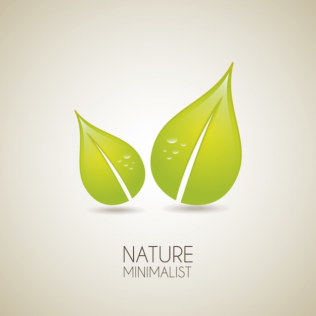 natureza minimalista sobre fundo vintage
