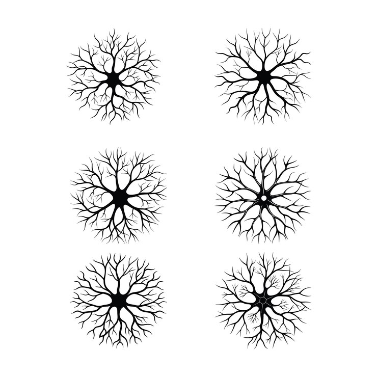 Neurônio Svg