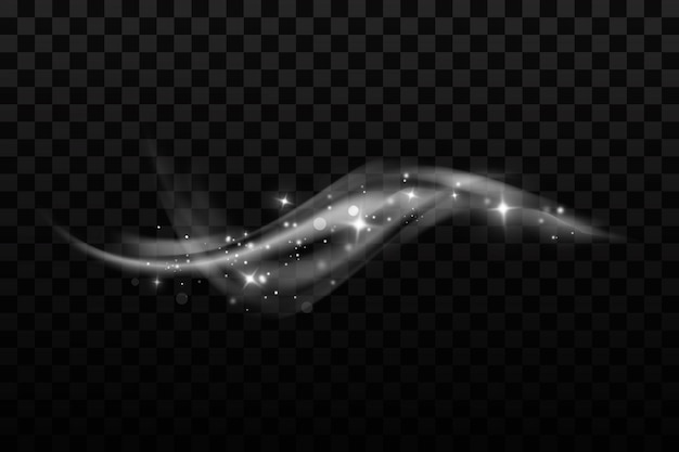Neve e vento em um fundo transparente Winter and snowVector