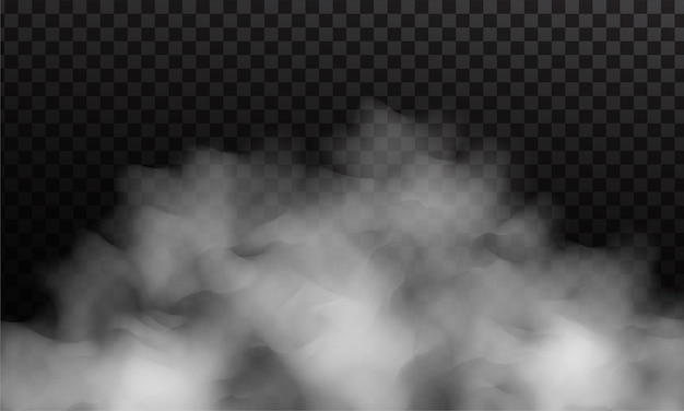 Vetor névoa branca ou fumaça isolada sobre um fundo transparente escuro