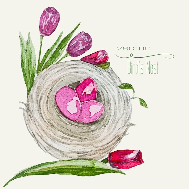 Nido de pássaros com flores ilustração de aquarela vector tulipas com um ninho de ramos ilustração