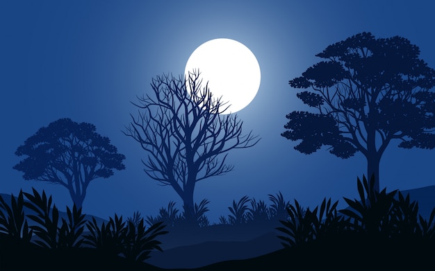 Noite calma na floresta com lua cheia