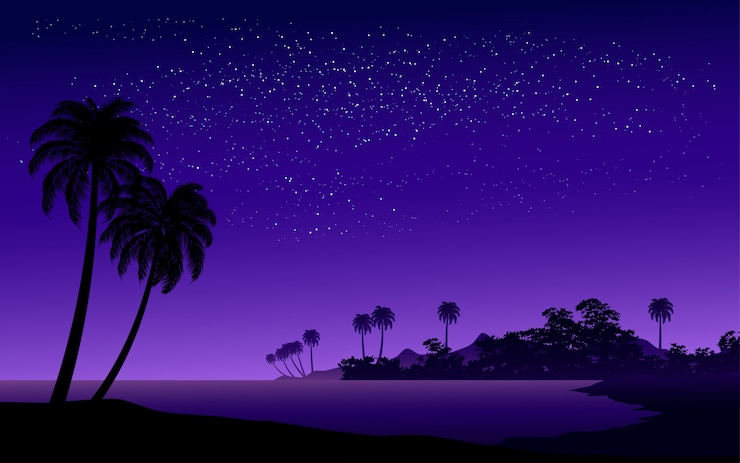 Vetor noite estrelada no mar