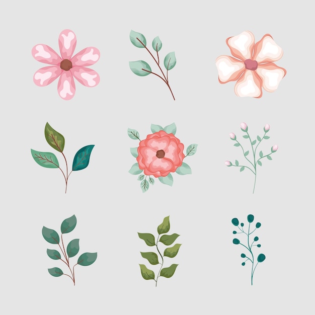 Nove ícones de decoração floral