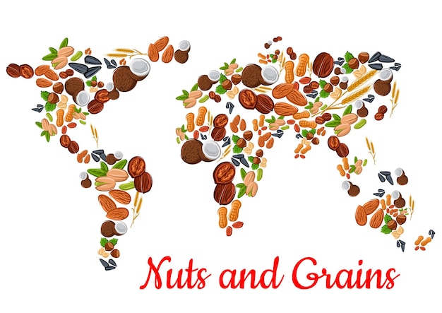 Nozes e grãos em forma de mapa do mundo