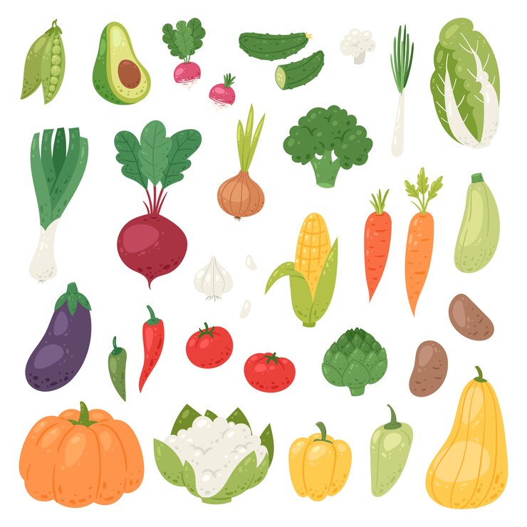 Vetor nutrição saudável de legumes de pimenta de tomate e cenoura para vegetarianos que comem alimentos orgânicos de mercearia ilustração vegetated conjunto dieta isolada no fundo branco