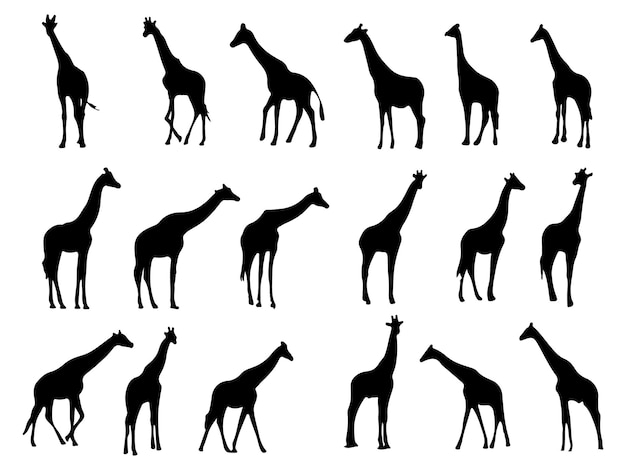 O conjunto da coleção de silhuetas giraffe
