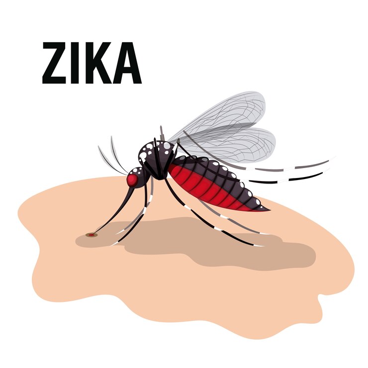 Vetor o design do vírus zika